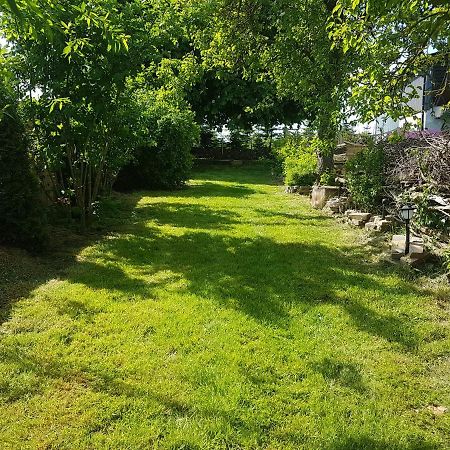 Ferienwohnung Storchenhof Niepars Bagian luar foto