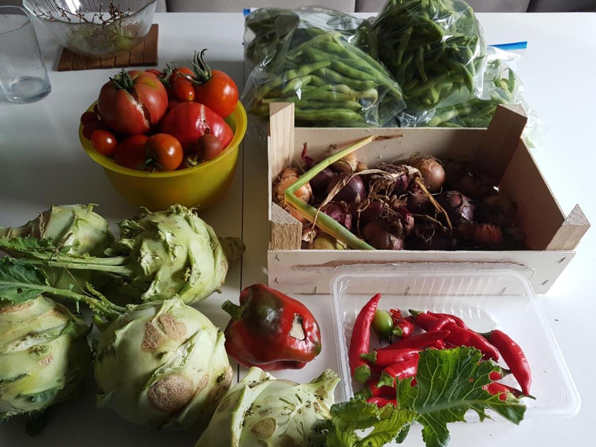 Ferienwohnung Storchenhof Niepars Bagian luar foto