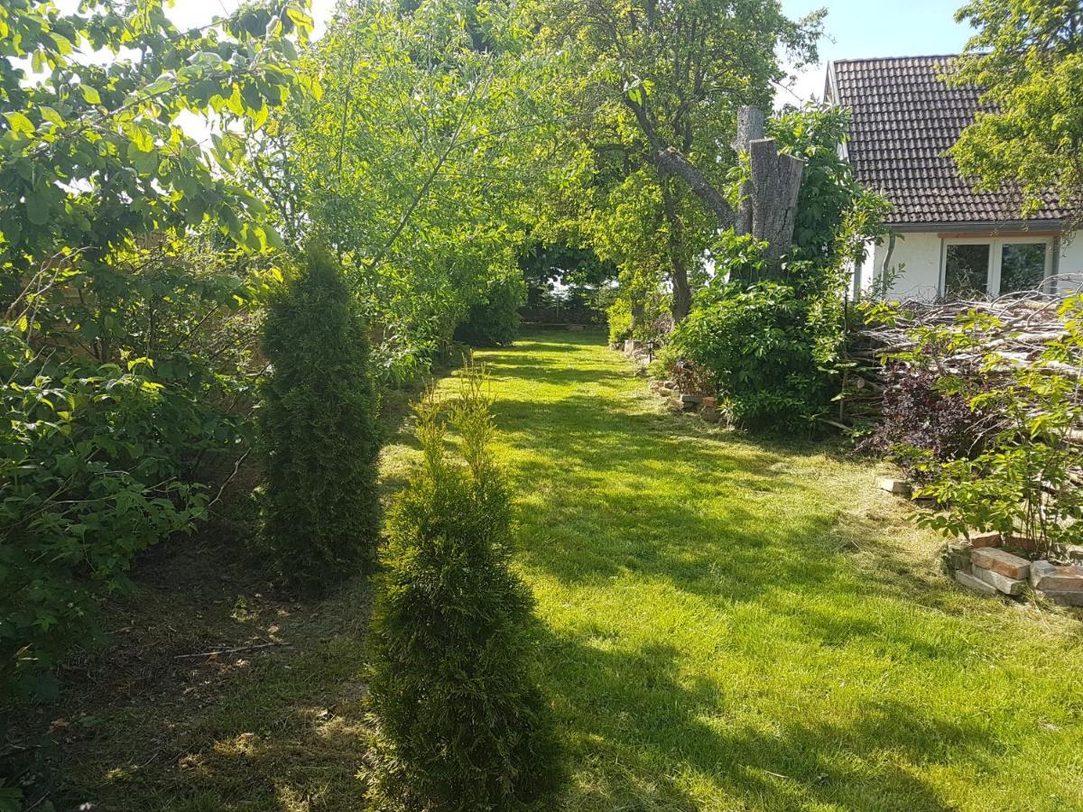 Ferienwohnung Storchenhof Niepars Bagian luar foto